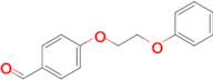 4-(2-Phenoxyethoxy)benzaldehyde