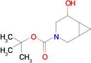 3-Azabicyclo[4.1.0]heptane-3-carboxylic acid, 5-hydroxy-, 1,1-dimethylethyl ester