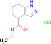 4,5,6,7-Tetrahydro-1H-indazole-4-carboxylic acid ethyl ester hydrochloride