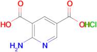 2-Amino-pyridine-3,5-dicarboxylic acid hydrochloride