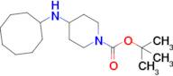 1-Boc-4-cyclooctylamino-piperidine