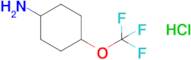 4-Trifluoromethoxy-cyclohexylamine hydrochloride