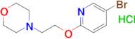 4-[2-(5-Bromo-pyridin-2-yloxy)-ethyl]-morpholine hydrochloride