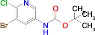 (5-Bromo-6-chloro-pyridin-3-yl)-carbamic acid tert-butyl ester