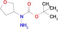 N-(Tetrahydro-furan-3-yl)-hydrazinecarboxylic acid tert-butyl ester