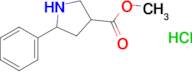 Methyl 5-phenyl-pyrrolidine-3-carboxylate hydrochloride