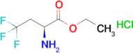 (S)-2-Amino-4,4,4-trifluoro-butyric acid ethyl ester hydrochloride