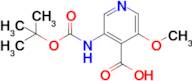 3-Boc-amino-5-methoxy-isonicotinic acid