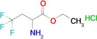 2-Amino-4,4,4-trifluoro-butyric acid ethyl ester hydrochloride