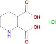 Piperidine-2,3-dicarboxylic acid hydrochloride