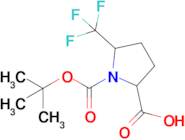 1-Boc-5-Trifluoromethyl-pyrrolidine-2-carboxylic acid