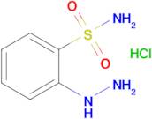 2-Hydrazino-benzenesulfonamide hydrochloride