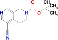 5-Cyano-3,4-dihydro-1H-[2,7]naphthyridine-2-carboxylic acid tert-butyl ester