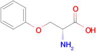 (R)-2-amino-3-phenoxypropanoic acid
