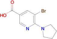 5-Bromo-6-pyrrolidin-1-yl-nicotinic acid