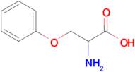 2-amino-3-phenoxypropanoic acid