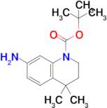 7-Amino-1-Boc-4,4-dimethyl-3,4-dihydro-2H-quinoline