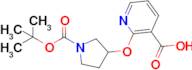 2-(1-tert-Butoxycarbonyl-pyrrolidin-3-yloxy)-nicotinic acid