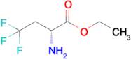 (R)-2-Amino-4,4,4-trifluoro-butyric acid ethyl ester