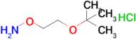 O-(2-tert-Butoxy-ethyl)-hydroxylamine hydrochloride