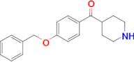 (4-Benzyloxy-phenyl)-piperidin-4-yl-methanone