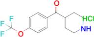 4-(4-trifluoromethoxybenzoyl)-piperidine hydrochloride