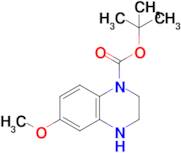 6-Methoxy-3,4-dihydro-2H-quinoxaline-1-carboxylic acid tert-butyl ester