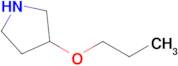 3-Propoxy-pyrrolidine