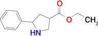 5-Phenyl-pyrrolidine-3-carboxylic acid ethyl ester