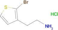 2-(2-Bromo-thiophen-3-yl)-ethylamine hydrochloride