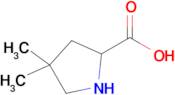 4,4-Dimethyl-pyrrolidine-2-carboxylic acid