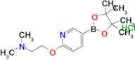 2-(2-Dimethylamino-ethoxy)-pyridine-5-boronic acid pinacol ester hydrochloride