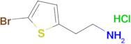 2-(5-Bromo-thiophen-2-yl)-ethylamine hydrochloride