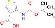 4-tert-Butoxycarbonylamino-thiophene-3-carboxylic acid