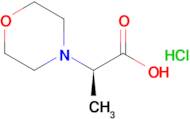 (R)-2-Morpholin-4-yl-propionic acid hydrochloride