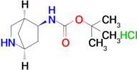 tert-Butyl ((1S,4S,5S)-2-azabicyclo[2.2.1]heptan-5-yl)carbamate hydrochloride