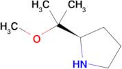 (R)-2-(1-Methoxy-1-methyl-ethyl)-pyrrolidine