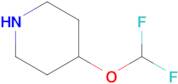 4-Difluoromethoxy-piperidine