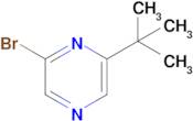 2-Bromo-6-tert-butyl-pyrazine
