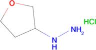 (Tetrahydro-furan-3-yl)-hydrazine hydrochloride