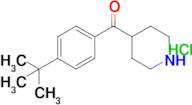 (4-tert-Butyl-phenyl)-piperidin-4-yl-methanone hydrochloride