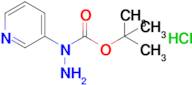 N-Pyridin-3-yl-hydrazinecarboxylic acid tert-butyl ester hydrochloride