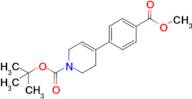 4-(4-Methoxycarbonyl-phenyl)-3,6-dihydro-2H-pyridine-1-carboxylic acid tert-butyl ester