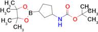 [3-(4,4,5,5-Tetramethyl-[1,3,2]dioxaborolan-2-yl)-cyclopentyl]-carbamic acid tert-butyl ester