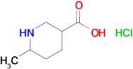 6-Methyl-piperidine-3-carboxylic acid hydrochloride