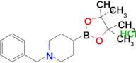 1-Benzyl-piperidine-4-boronic acid pinacol ester hydrochloride