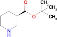 (R)-Piperidine-3-carboxylic acid tert-butyl ester