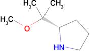 (S)-2-(1-Methoxy-1-methyl-ethyl)-pyrrolidine