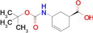 (1S,5R)-5-Boc-amino-cyclohex-3-enecarboxylic acid