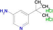 5-(tert-butyl)pyridin-3-amine dihydrochloride